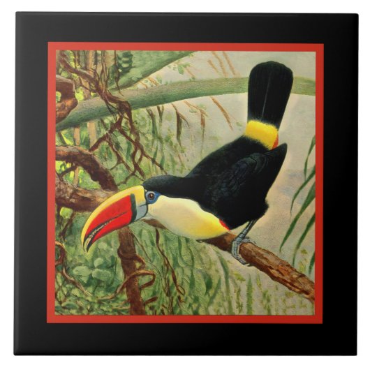 Carreau Vintage de la jungle (Devant)