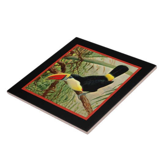 Carreau Vintage de la jungle (Côté)