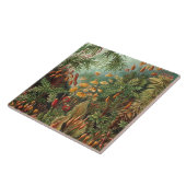 Carreau Vintage Ernst Haeckel Mosses (Côté)