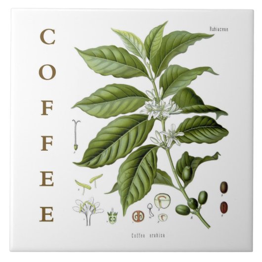 Carreau Vintage Kitchen Art: Coffee Plant & Flowers (Devant)