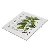 Carreau Vintage Kitchen Art: Coffee Plant & Flowers (Côté)