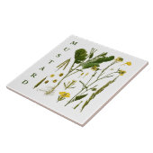 Carreau Vintage Kitchen Art: Mustard Herbs & Spices Plants (Côté)