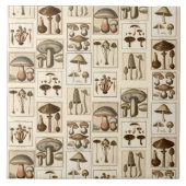 Carreau Vintage Mushroom Botanical Prints Tile Trivet (Devant)