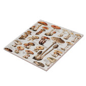 Carreau Vintage Mushrooms By Adolphe Millot (Côté)