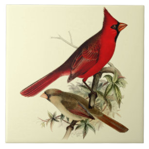 Carreau Vintage Red Cardinal Birds