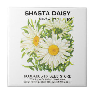 Carreau Vintage Seed Packet Art, Shasta Daisy Flowers