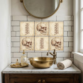 Carreau Vintage Spine Anatomy Sketch