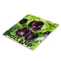 Vintage violet noir Tulipes vert Fleurs Hollande