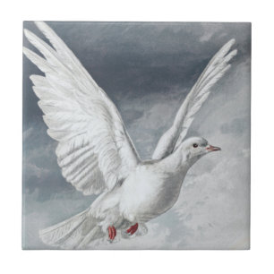 Carreau Vintage White Dove