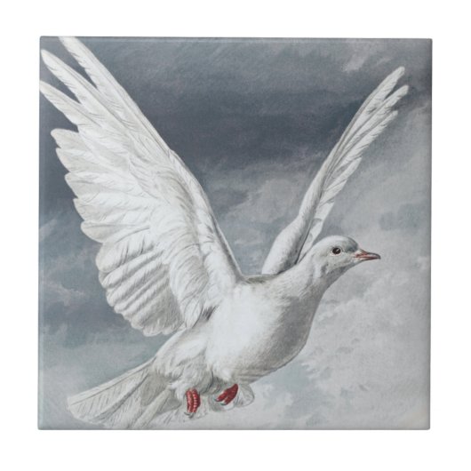 Carreau Vintage White Dove (Devant)
