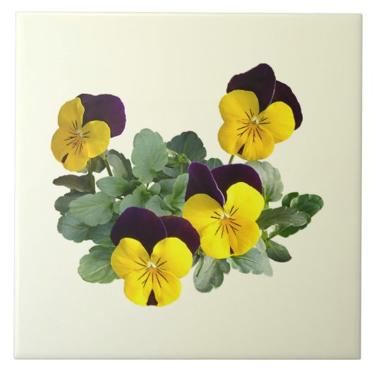 Carreau Violas Sorbet Saut Jaune (Devant)