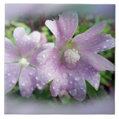 Carreau Violet clair (Devant)