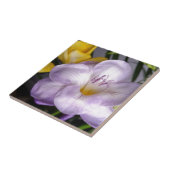 Carreau violet freesia (Côté)
