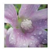 Carreau Violet vif (Devant)