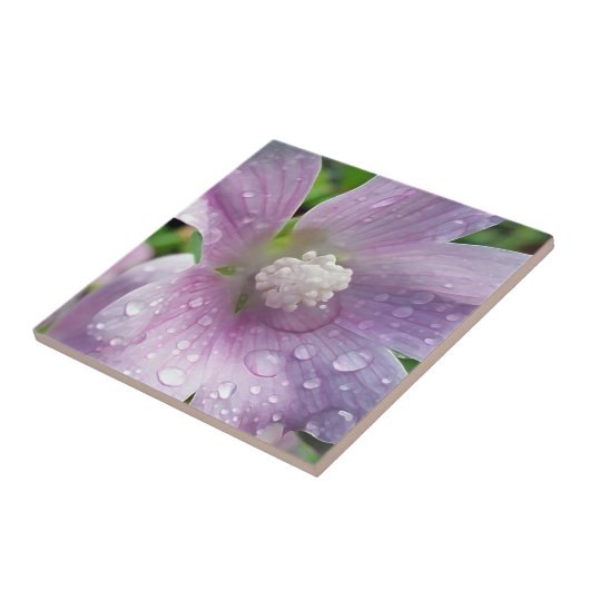 Carreau Violet vif (Côté)