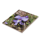 Carreau Violette à pieds d'oiseau avec bluets (Côté)