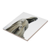 Carreau Virgin Mary (Côté)