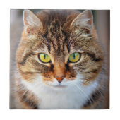 Carreau Visage de chat (Devant)