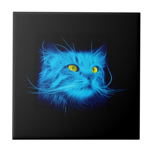 Carreau Visage de chat bleu (Devant)