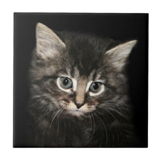 Carreau Visage de chaton
