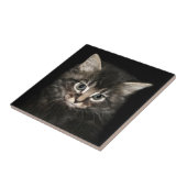 Carreau Visage de chaton (Côté)