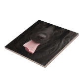 Carreau Visage de chien noir (Côté)