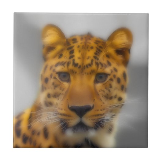 Carreau Visage de léopard (Devant)