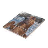 Carreau Visage de limier (Côté)