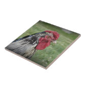 Carreau Visage de volaille (Côté)