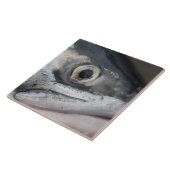 Carreau Visage Saumon argenté (Côté)