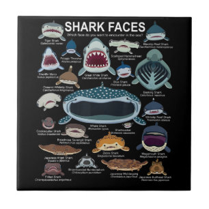 Carreau Visages de requins auxquels vous voulez participer