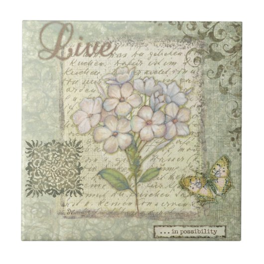 Carreau Vivant (Devant)