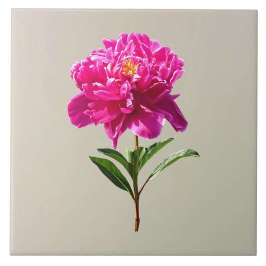 Carreau Vivid Peony rose (Devant)