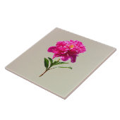 Carreau Vivid Peony rose (Côté)
