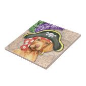 Carreau Vizsla Pirate (Côté)