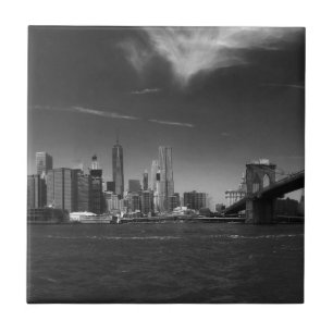 Carreau voir 2 produits Panoramic Black White Brooklyn