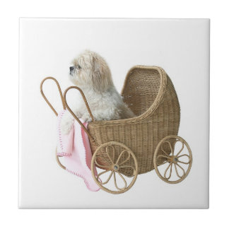 Carreau Voiture d'enfant de Shih Tzu