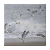 Carreau Vol (Devant)