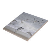 Carreau Vol (Côté)