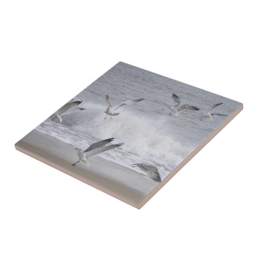 Carreau Vol (Côté)