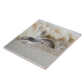 Carreau Vol d'oiseaux de goéland (Côté)