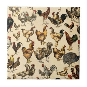 Carreau Volailles anciennes du monde - Races de poules art