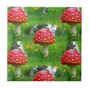 Carreau Voler les champignons de l'Agaric