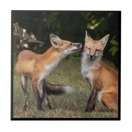 Carreau Vous Avez Une Menthe ? (Devant)