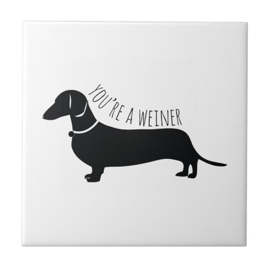 Carreau Vous êtes un Weiner (Devant)