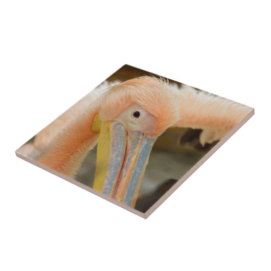 Carreau Vous Regardez Pelican Tile (Côté)