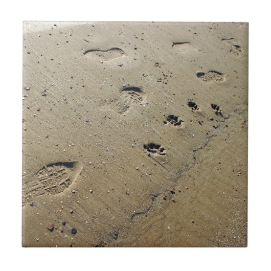 Carreau Vue aérienne sur le sable humide à la plage avec (Devant)