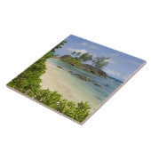 Carreau Vue côtière sur l'île de Mahe (Côté)