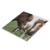 Carreau Vue de cheval, plan rapproché (Côté)