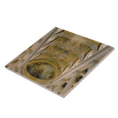 Carreau Vue de Gallery du Roi et département de plafond (Côté)